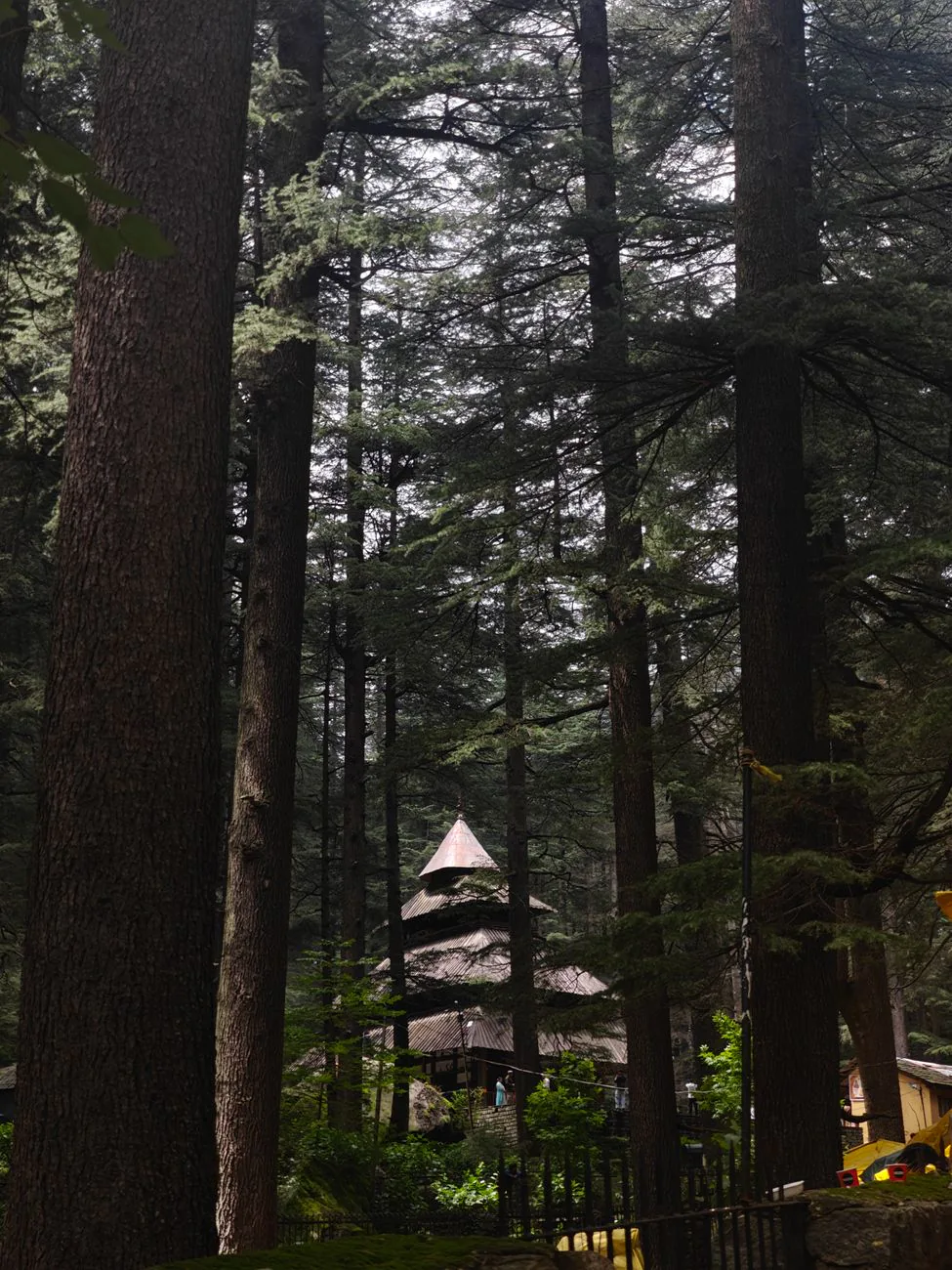 Ancient wooden temple nestled among towering cedar trees in Manali