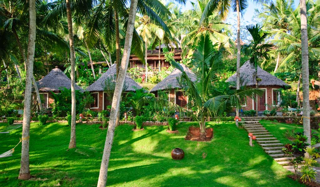India & Somatheeram Ayurveda Getaway